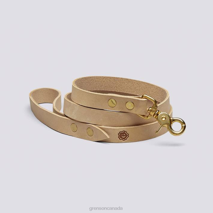 DOG LEAD Soft 280D539 Unisex Grenson Dog Accessories