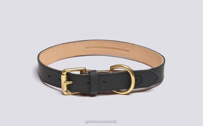 LARGE DOG COLLAR Black 280D545 Unisex Grenson Dog Accessories