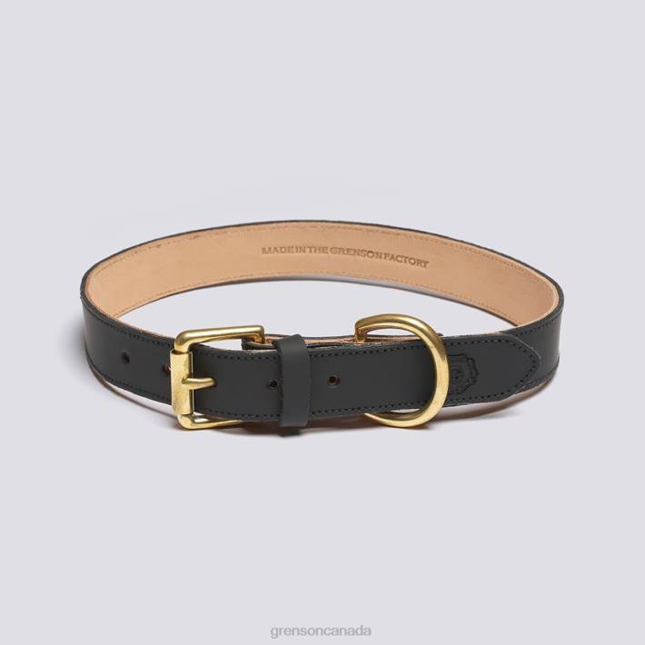 LARGE DOG COLLAR Black 280D545 Unisex Grenson Dog Accessories