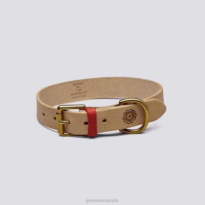 LARGE DOG COLLAR Soft 280D542 Unisex Grenson Dog Accessories