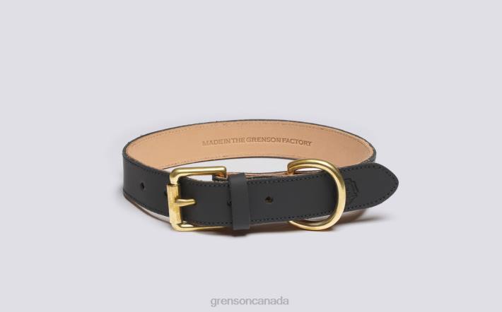 MEDIUM DOG COLLAR Black 280D547 Unisex Grenson Dog Accessories