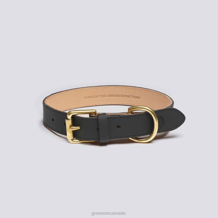 MEDIUM DOG COLLAR Black 280D547 Unisex Grenson Dog Accessories