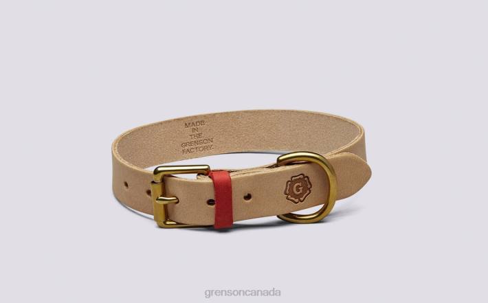 MEDIUM DOG COLLAR Soft 280D541 Unisex Grenson Dog Accessories
