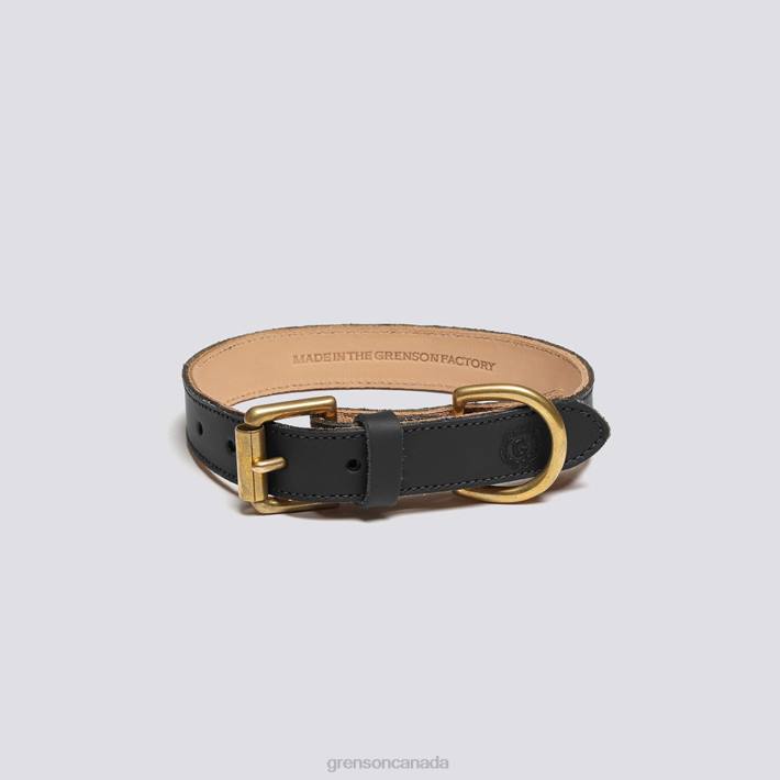 SMALL DOG COLLAR Black 280D546 Unisex Grenson Dog Accessories