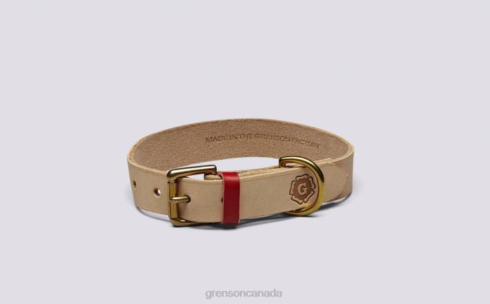 SMALL DOG COLLAR Soft 280D540 Unisex Grenson Dog Accessories